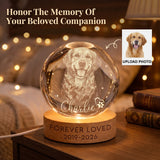 Personalized Pet Memorial Night Light 3D Photo Crystal Ball Dog Loss Keepsake Engraved Picture Lamp Pet Memorial Gift for Dog Lovers Cat Lovers Birthday Anniversary Xmas Gifts